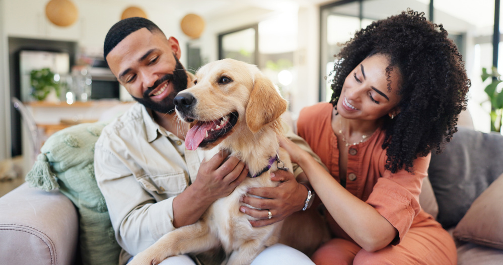 Couple, dog and happy on sofa, relax and bonding with care, connection and stroke in living room. People, woman and man with pet, golden retriever or love for cuddle on couch in lounge at apartment