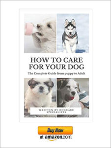 How to Care for Your Dog