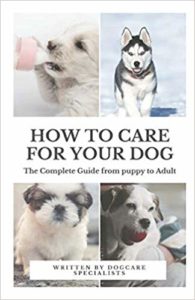 How to care for your dog