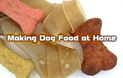 Making Dog Food at Home