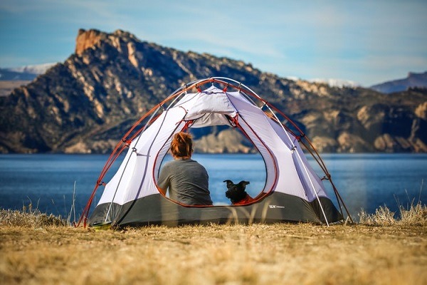 5 Tips for a Fun-Filled Camping Trip with Your Pet Dog
