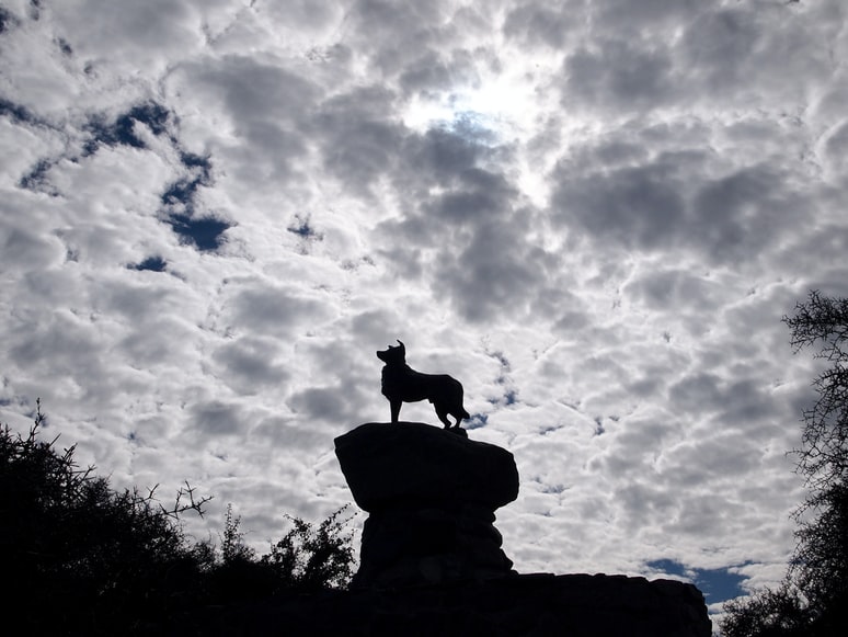 sheepdog dog silhouette-jpeg