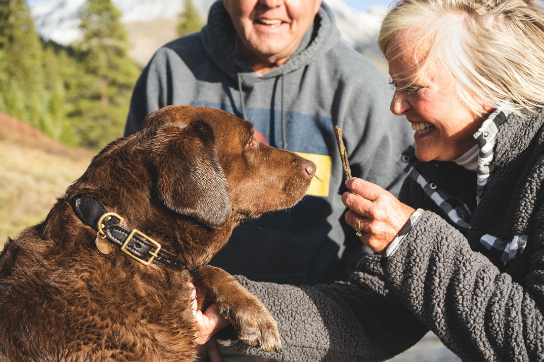 The Best Dog Breeds For Seniors
