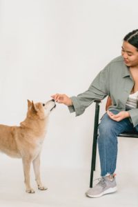 a woman sitting on a chair and feeding her dog