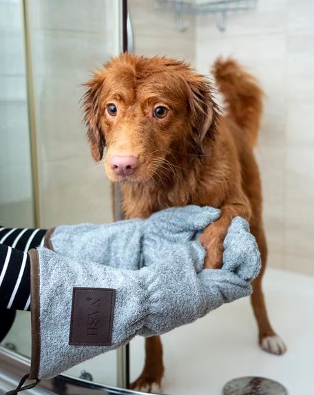 A warm towel is useful to dry your pet. 