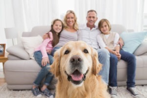 Family sitting on the couch with golden retriever in foreground at home in the living room