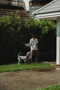 a-man-spraying-water-to-his-dog-using-a-hose