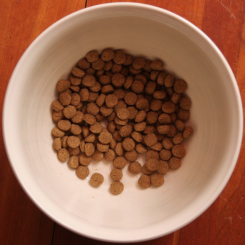 A sample of dry dog food in a white bowl.